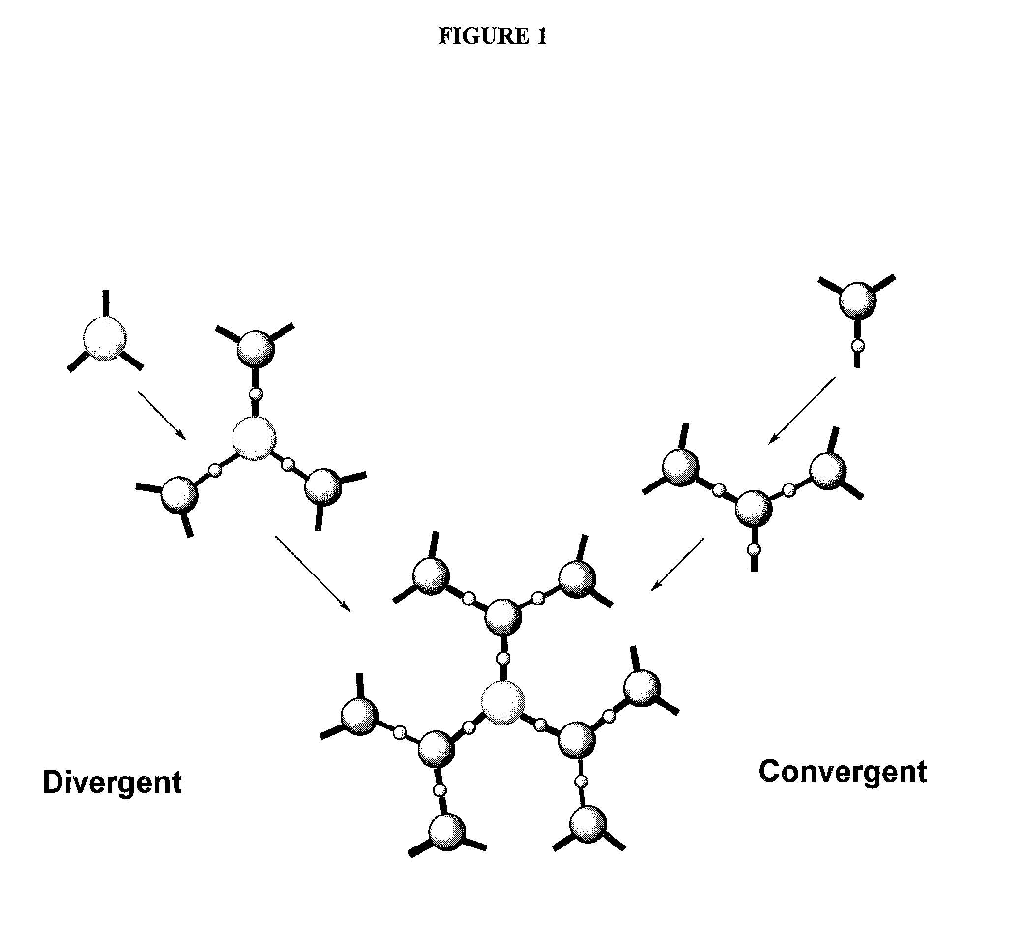 Dendrimer compositions and methods of synthesis