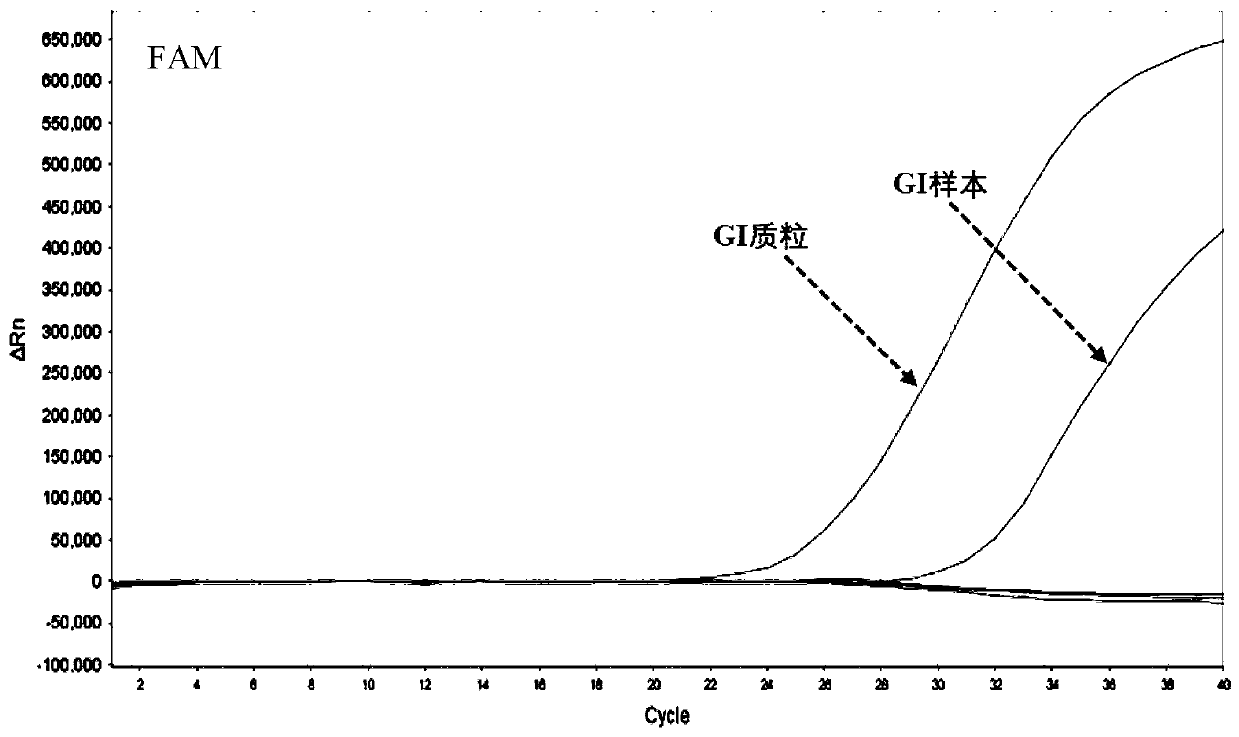 Norovirus GI, GII and GIV nucleic acid genotyping reagent kit and detection method