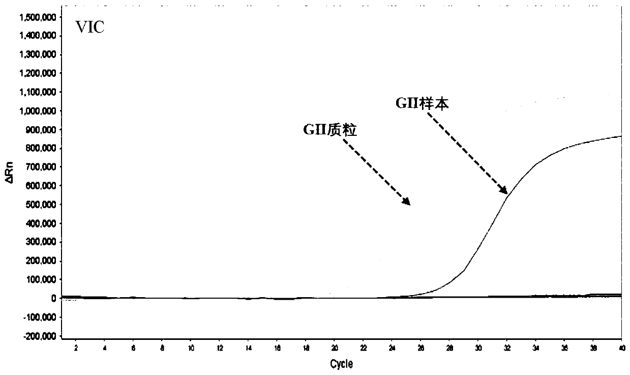 Norovirus GI, GII and GIV nucleic acid genotyping reagent kit and detection method