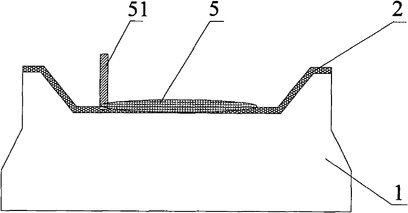 Composite member vimp preparation method with surface functional layer