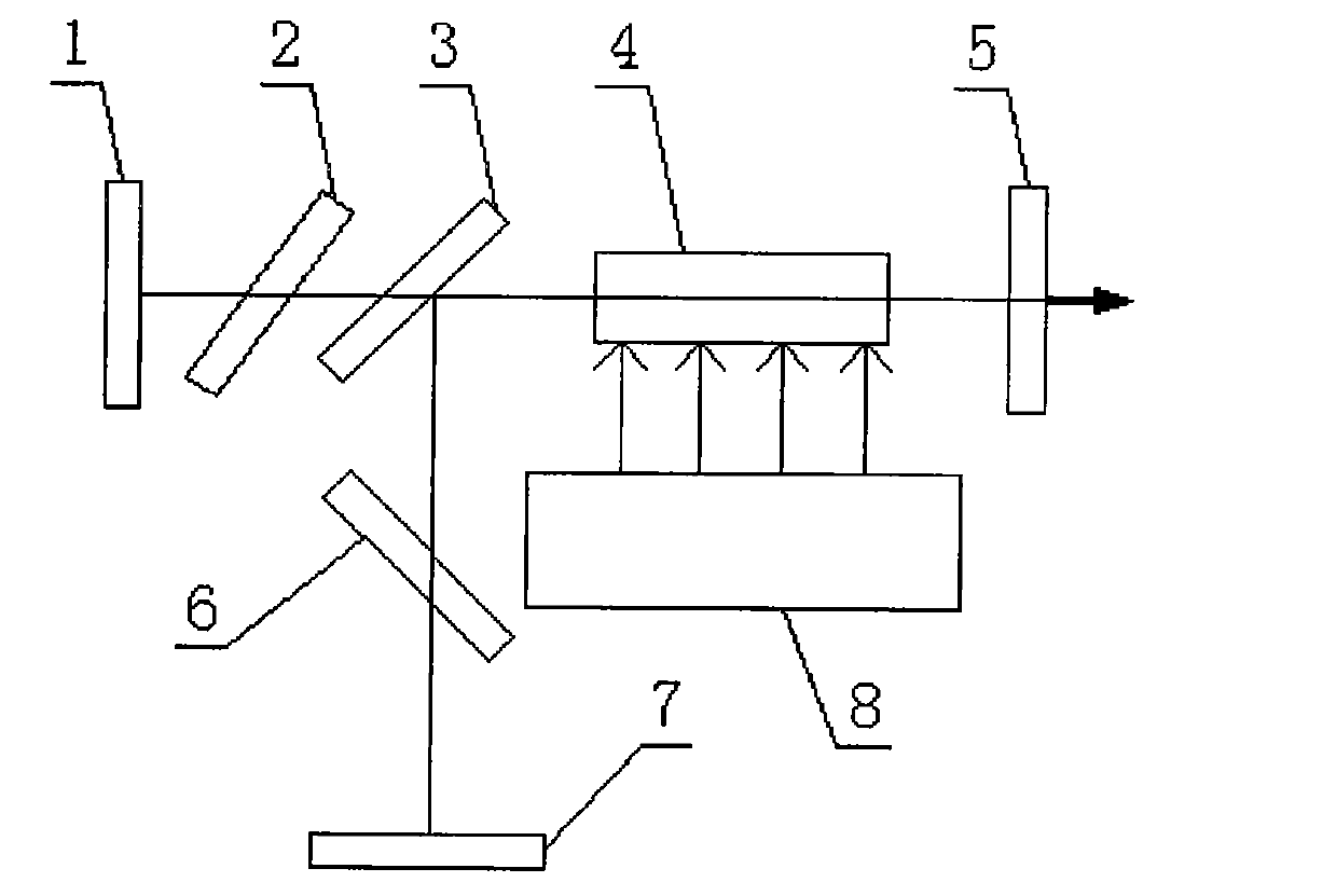 Cross-polarization dual laser