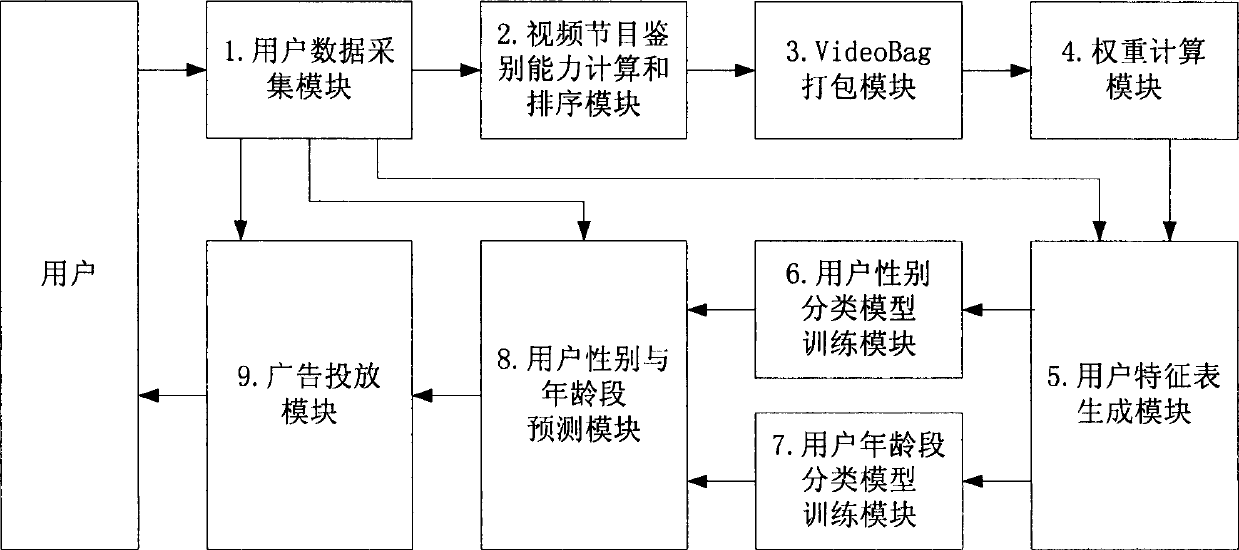 VideoBag feature-based accurate advertisement release system and method