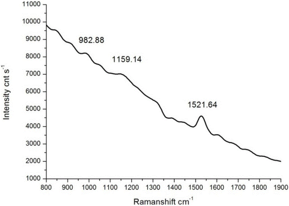 Method using Raman spectrum to detect beta-carotene content in fruit