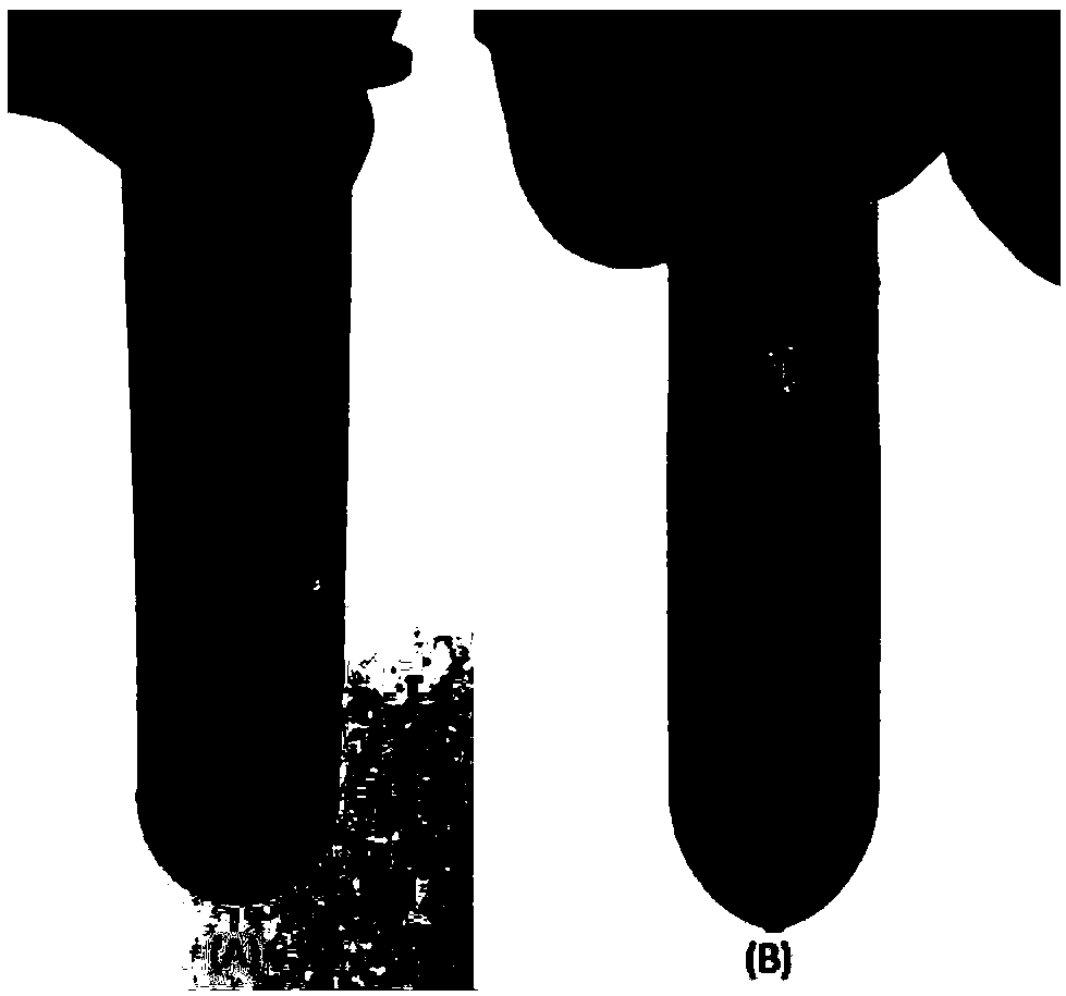 Two-phase deep-eutectic solvent capable of extracting active components of ginkgo leaves, and preparation method and extraction method of two-phase deep-eutectic solvent