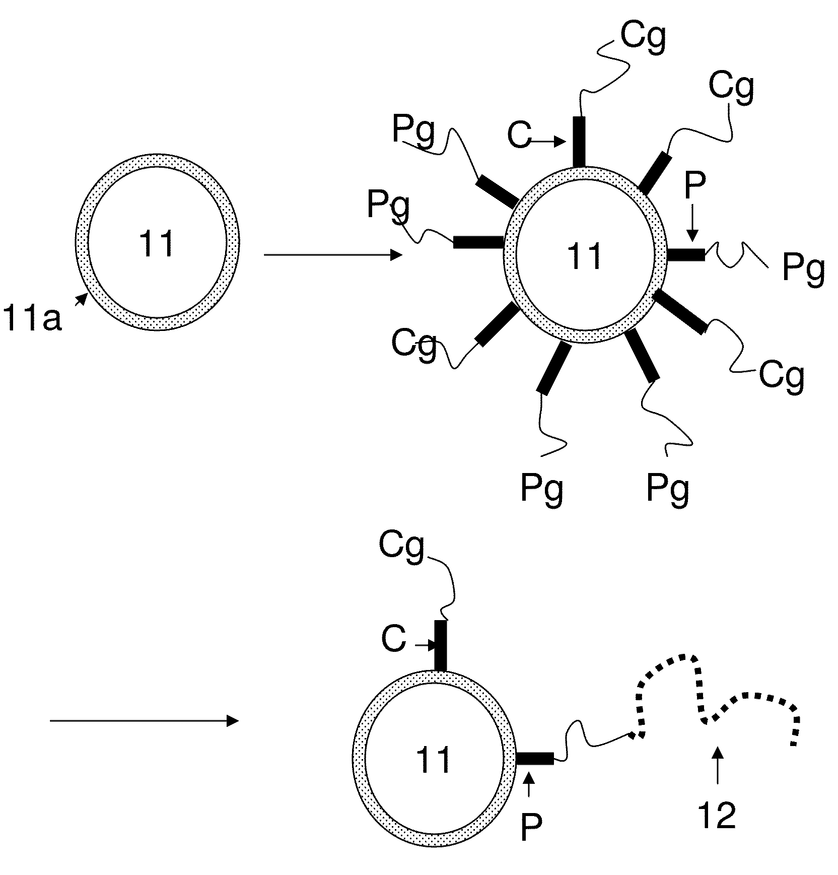 Charged pigment particles for electrophoretic display