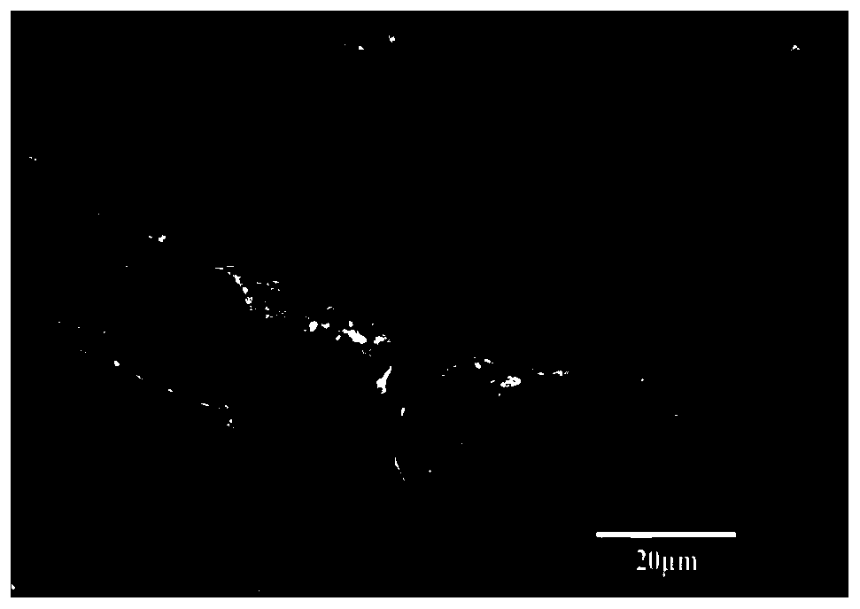 Method for preparing durable fabric with electromagnetic shielding performance through superhydrophobic finishing