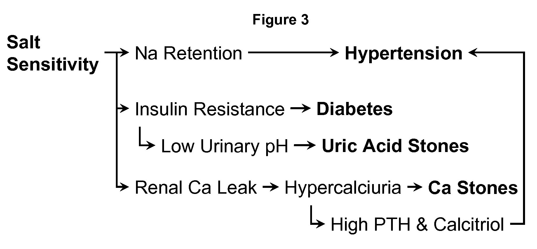 Potassium-magnesium citrate as a surrogate of the dash diet in managing hypertension