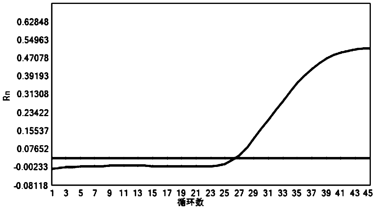 Composition, kit and method for detecting human folate metabolism gene polymorphism