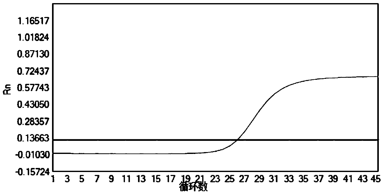 Composition, kit and method for detecting human folate metabolism gene polymorphism