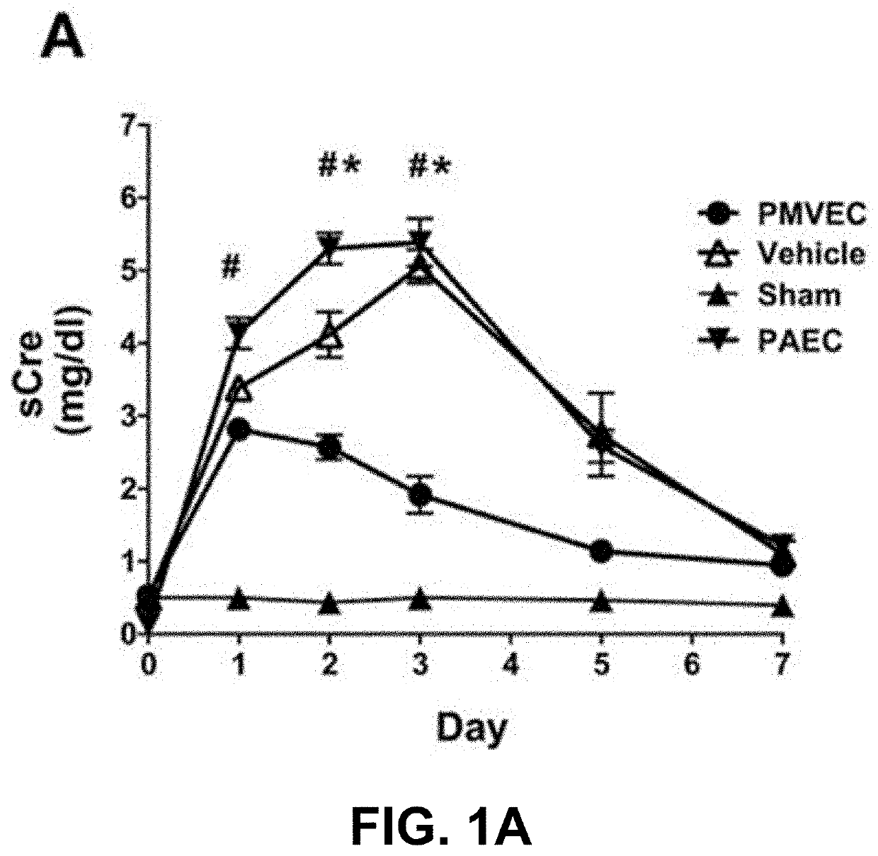 Compositions and methods for the treatment or prophylaxis of a perfusion disorder