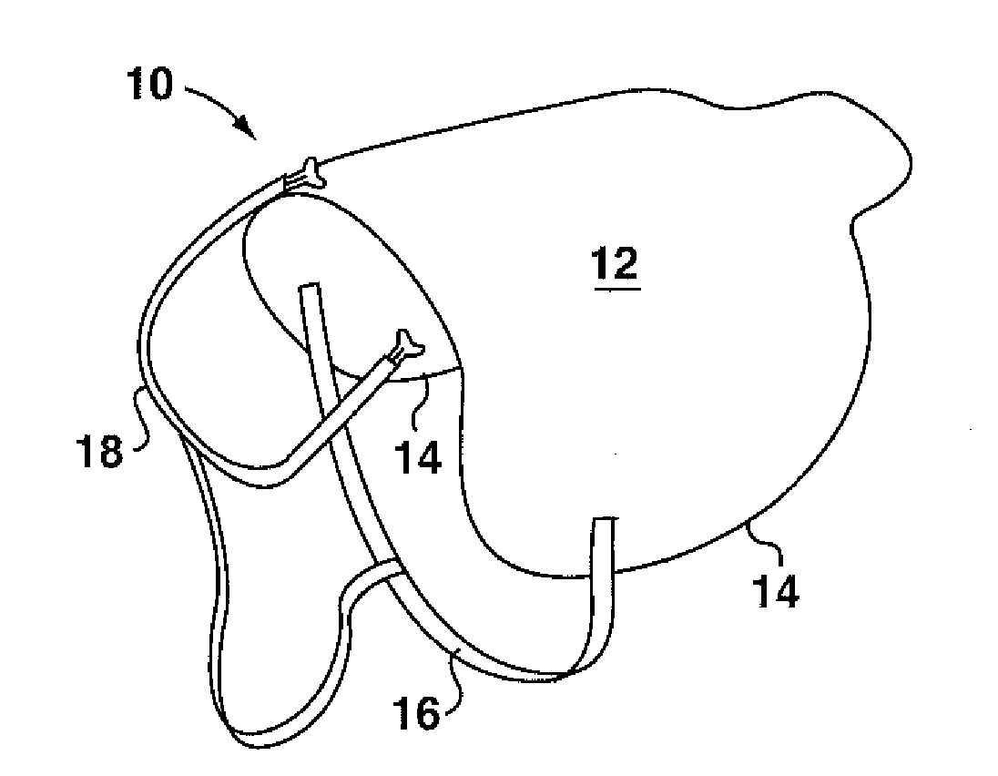 Exercise weight for horses and other users