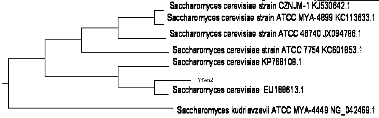 A kind of production method of multi-strain strengthened Daqu fermentation to brew Fen-flavor liquor