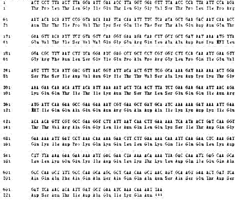 Mycoplasma ovipneumoniae Hsp70 (DnaK) C terminal gene recombinant plasmid