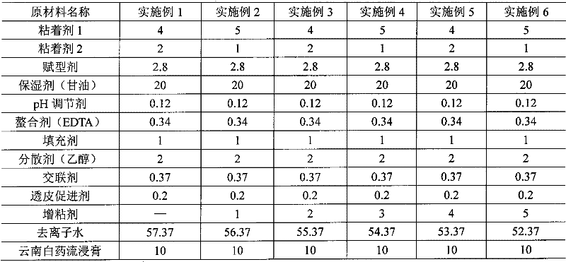 Hydrogel patch and preparation method thereof