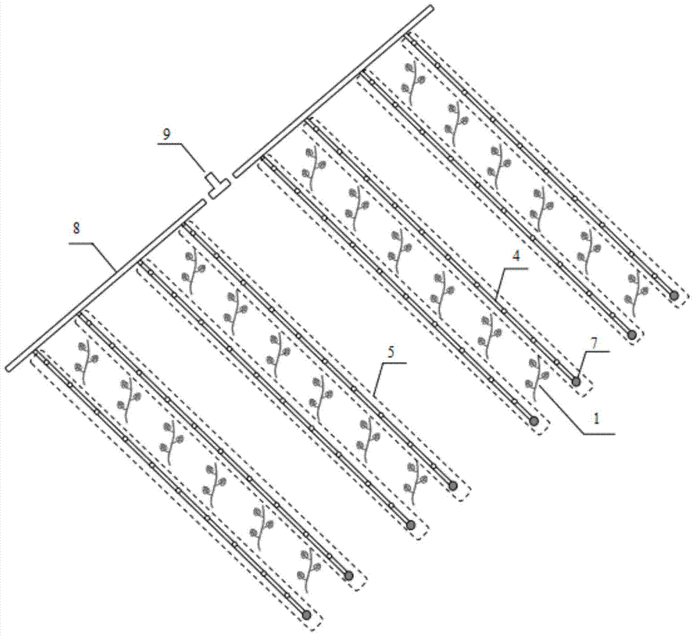 The protected cultivation method of grapes