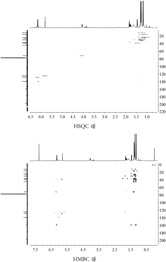 Rhizoma nardostachyos birthwort alkane sesquiterpene compound and preparation method and application thereof