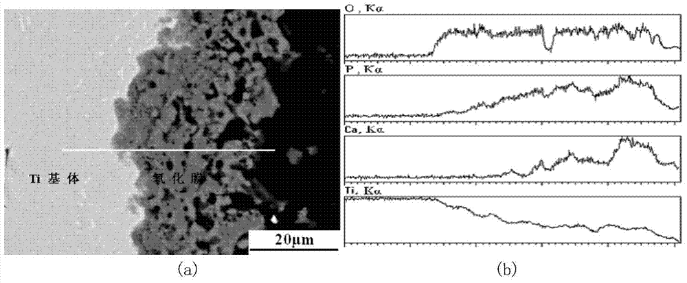 Preparation method of tissue suitable type composite material dental implant