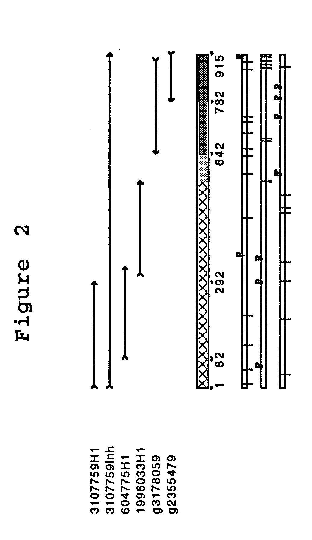 Reagents and methods useful for detecting diseases of the breast