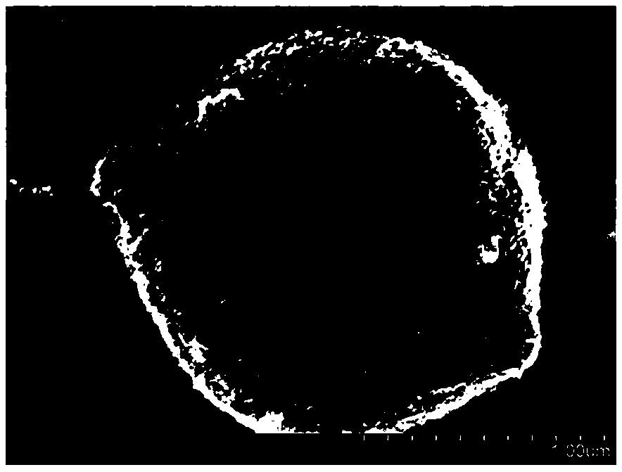 Method for synthesizing molybdenum disulfide-carbon nitride composite photocatalytic material