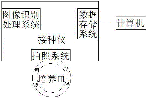 A microbial inoculation device and identification method capable of automatically identifying petri dishes