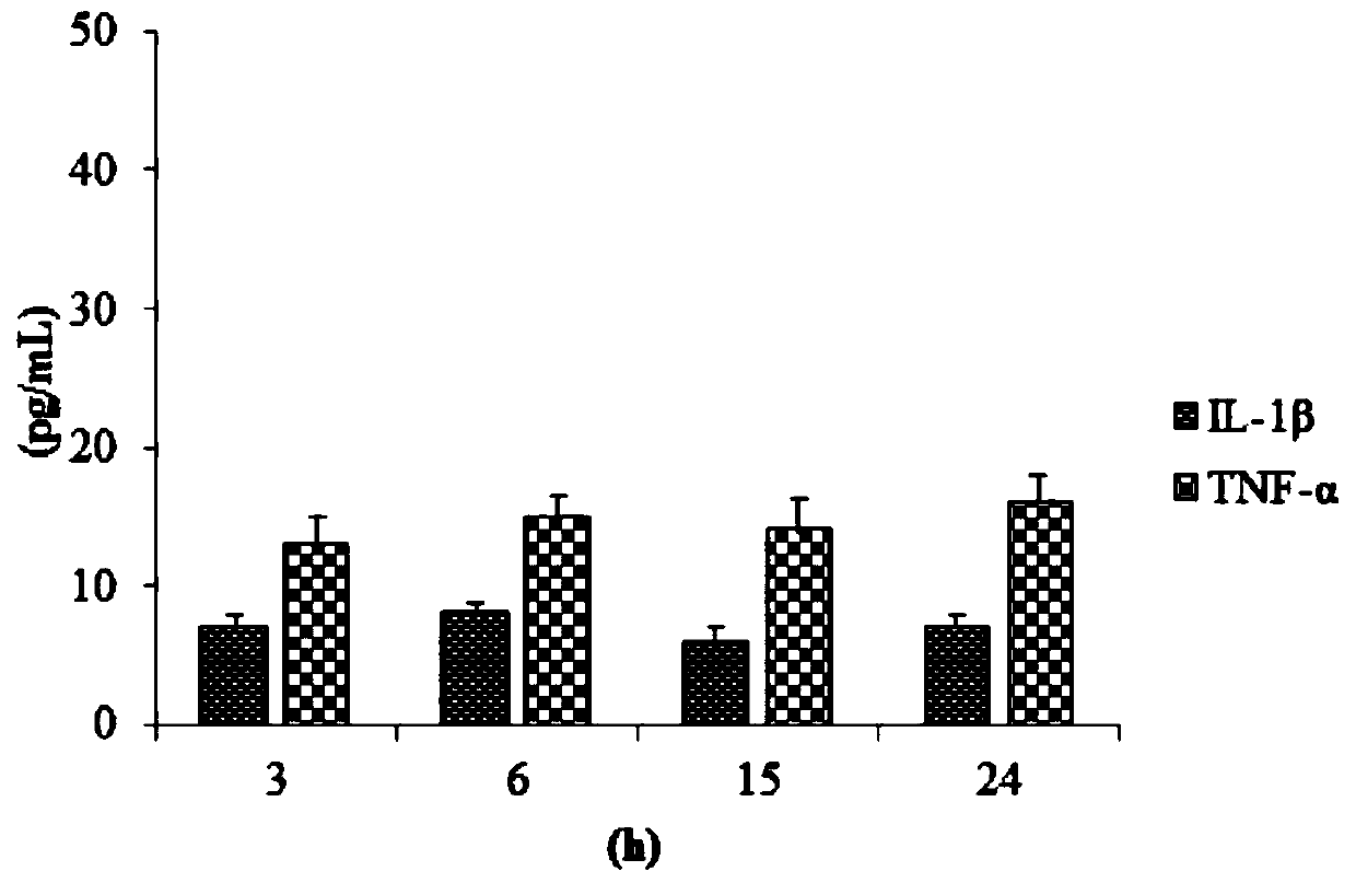 Traditional Chinese medicine composition for treating gouty arthritis and its application