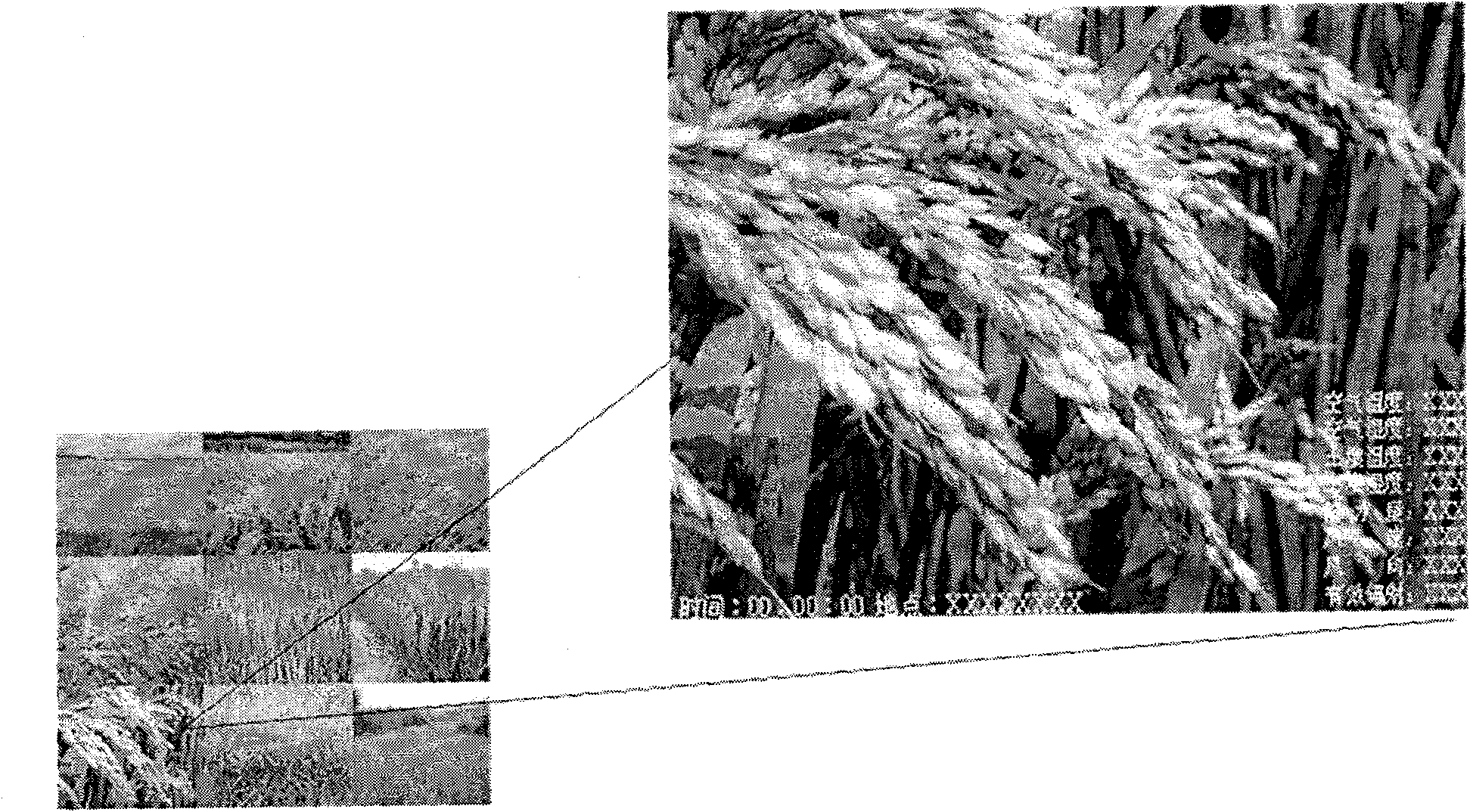 Farmland information real-time monitoring system and method based on remote monitoring