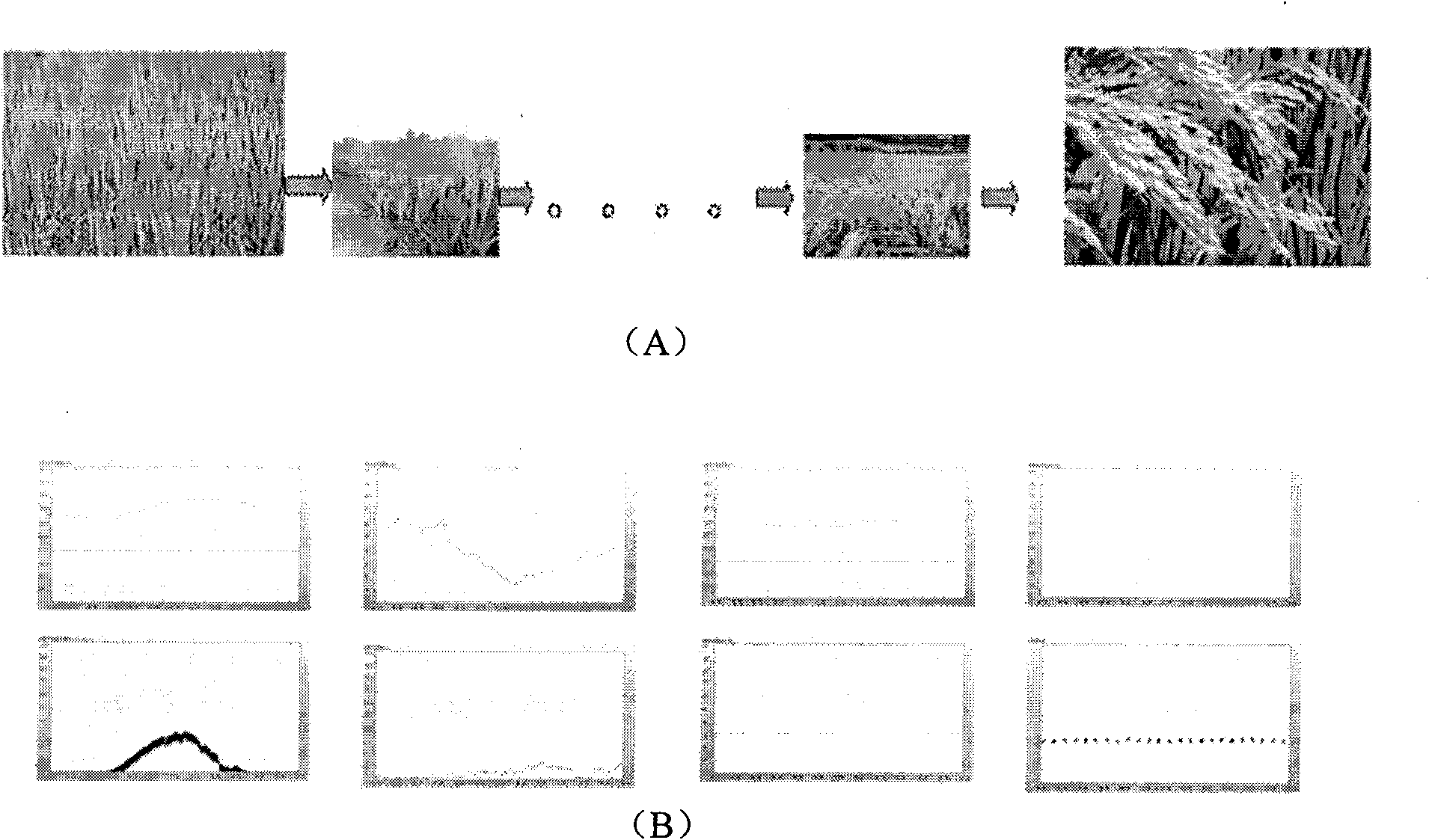 Farmland information real-time monitoring system and method based on remote monitoring