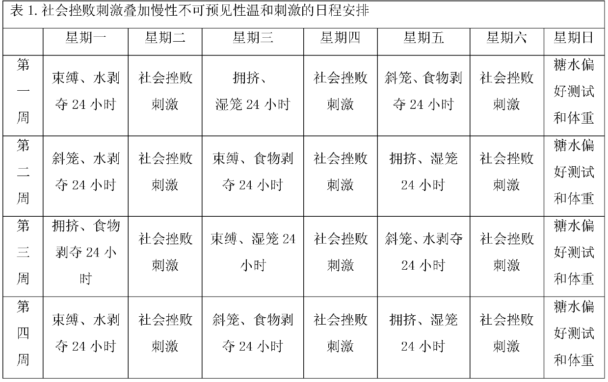 Construction method of animal model of suicide-related behavior based on sprague-dawley rats