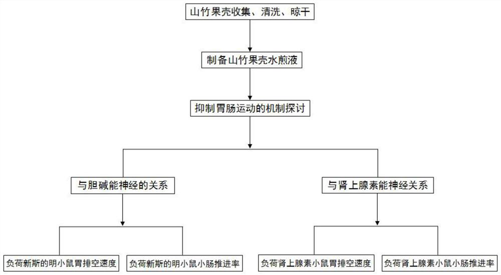 Preparation process and test method of mangosteen shell water decoction for inhibiting gastrointestinal motility