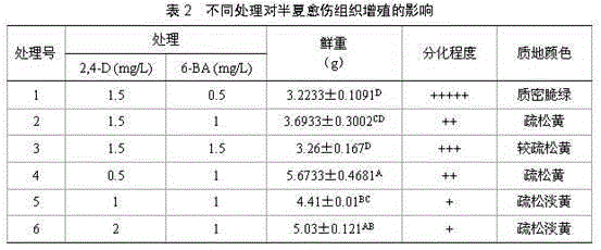 Suspension culture method for pinellia ternata artificial embryo synchronization