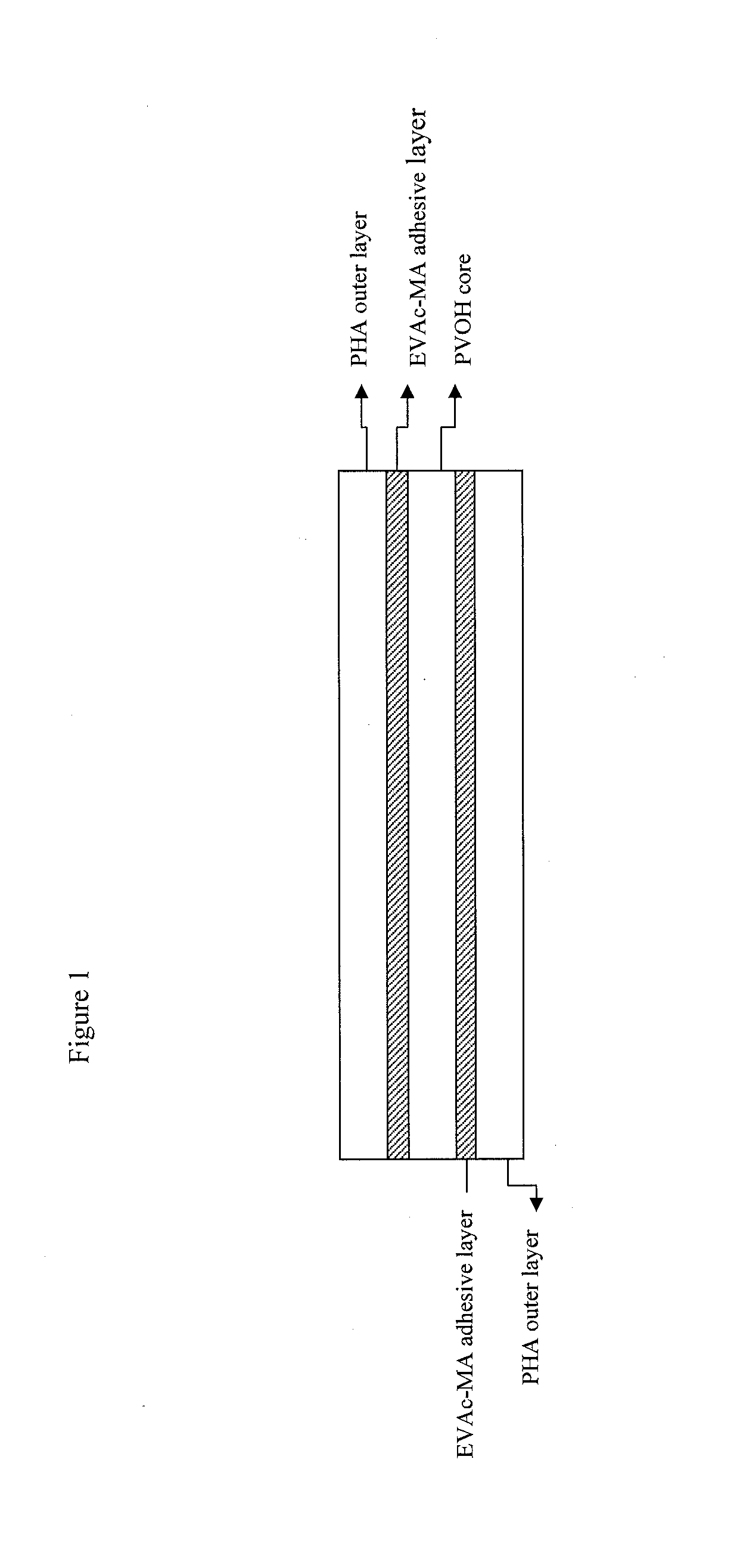 Biodegradable Coextruded Multilayer Films