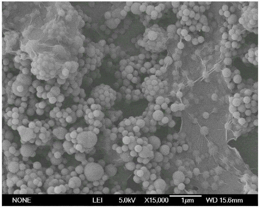 Lithium ion battery silicon-based negative electrode adhesive and preparation method of negative electrode piece with same