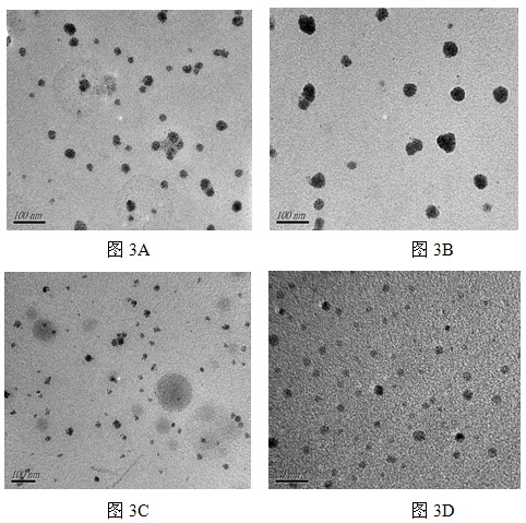 Cationized polysaccharide nanoparticle gene delivery systems and manufacturing method thereof