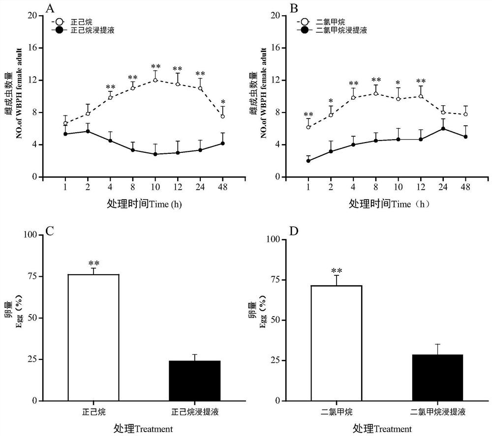 Compound preparation for preventing and controlling rice pests based on star anise leaching liquor and preparation method thereof