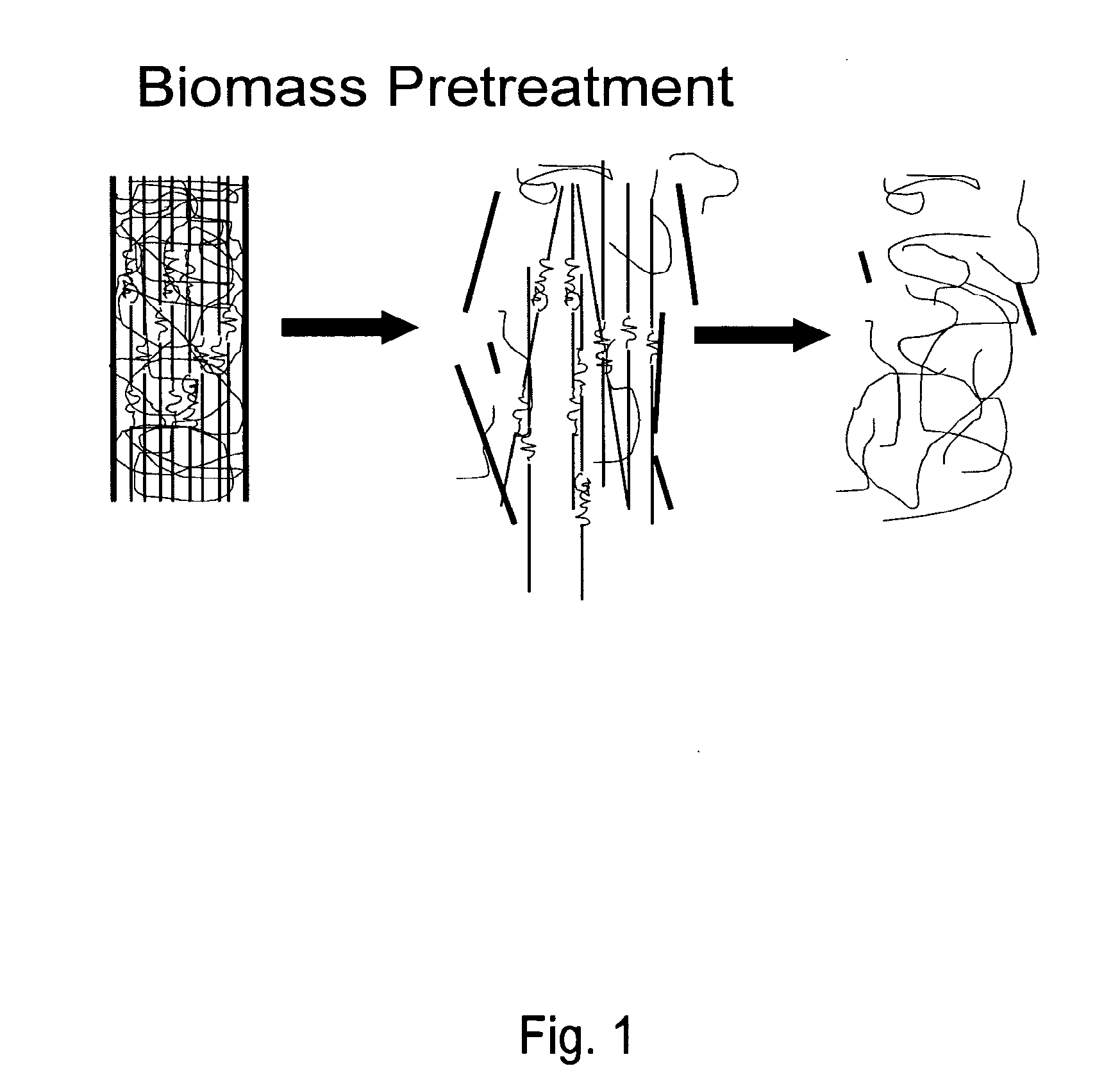 Biomass pretreatment