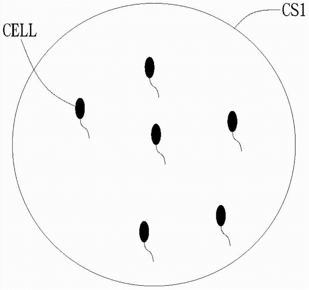 Cell Mobility Characteristics Sensing Apparatus And Operating Method Thereof