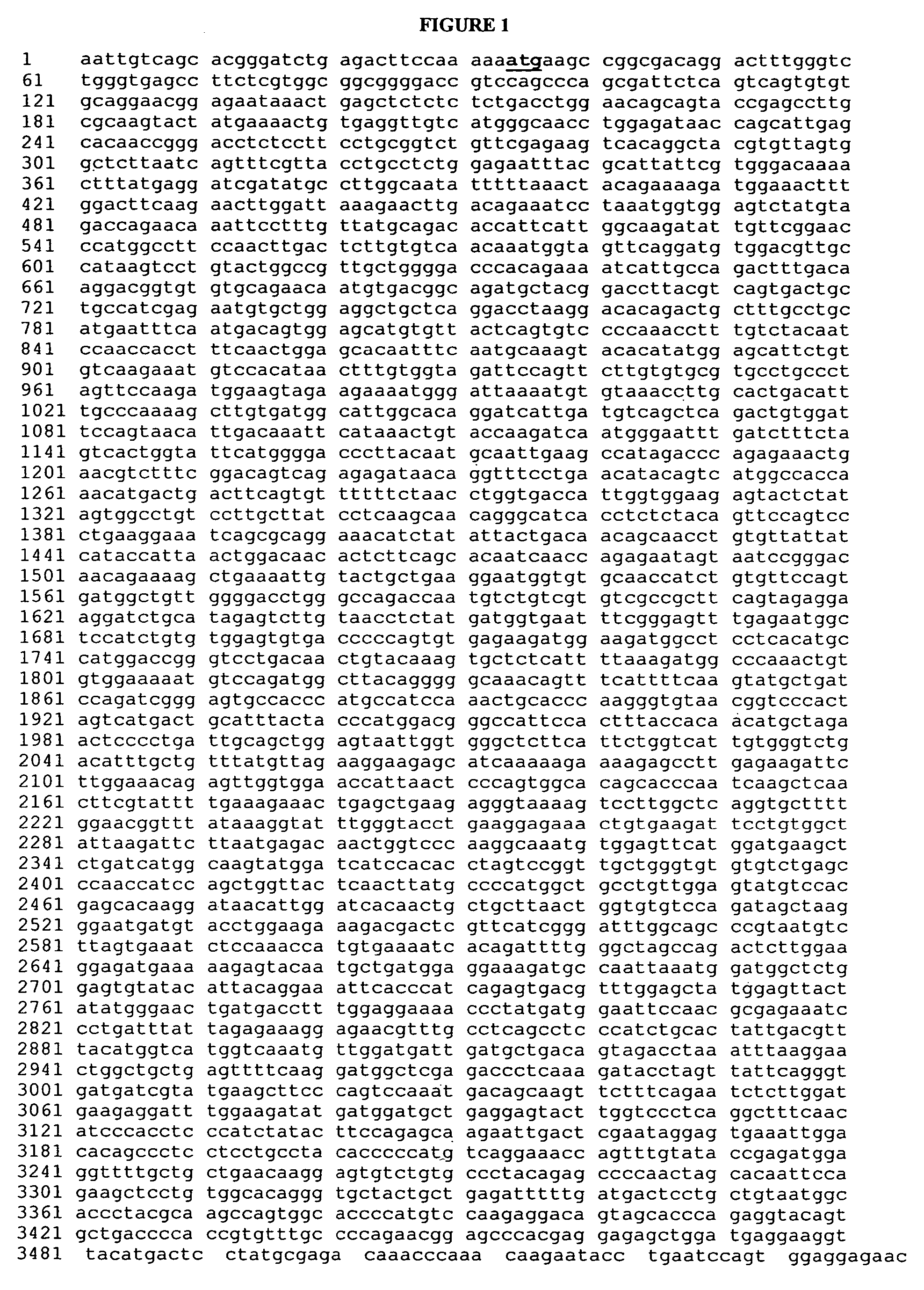 ErbB4 antagonists