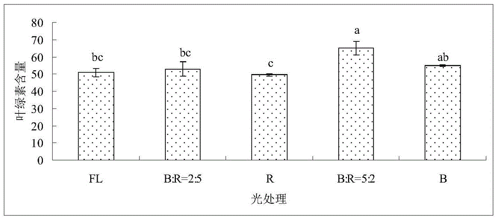 In-house production technology for hydroponic swamp cabbages