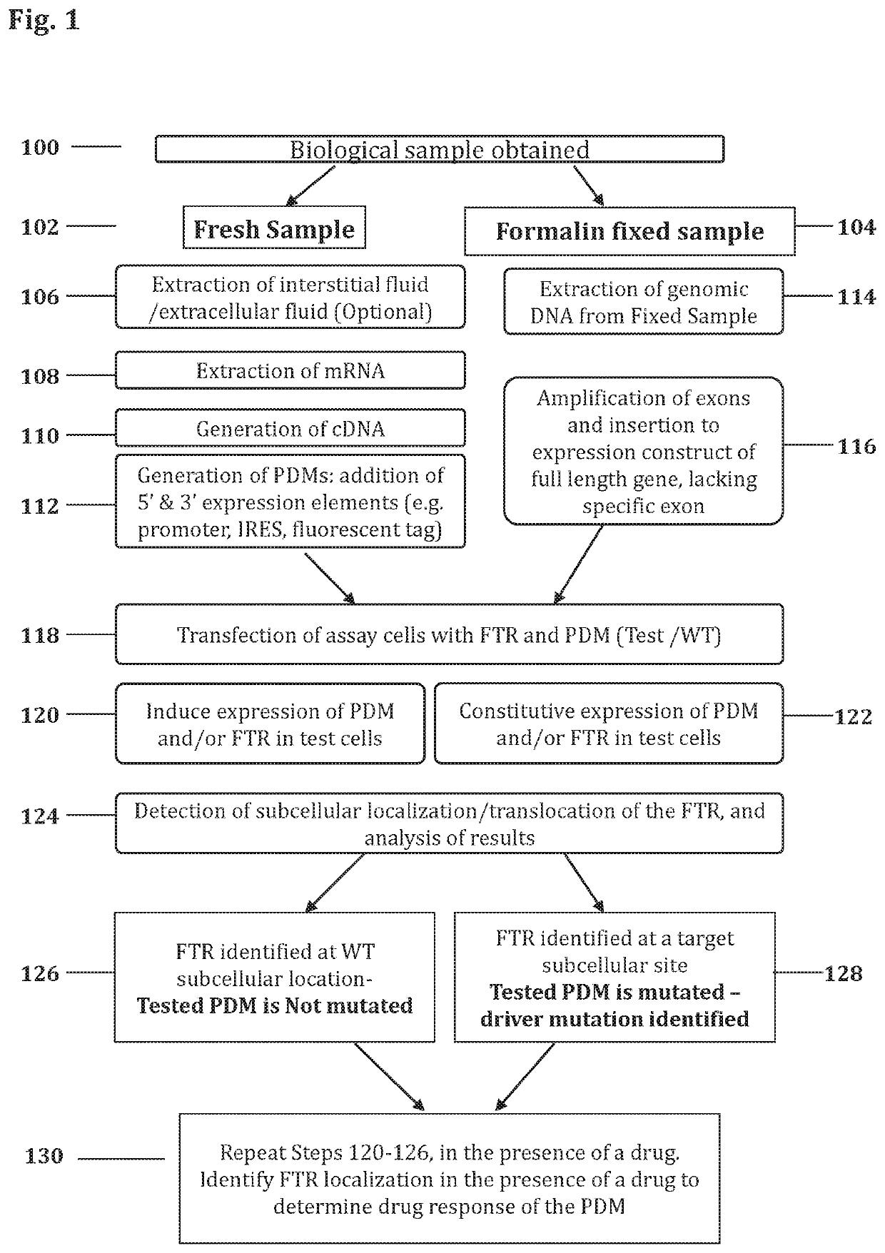 Methods for determining drug response of patient specific mutations