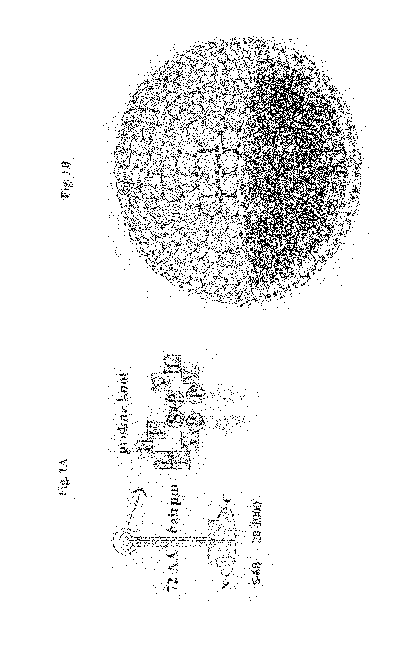 Vesicles and nanostructures from recombinant proteins