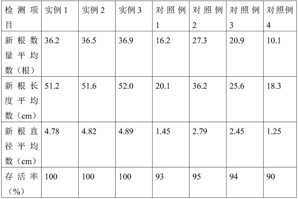 Medicament for promoting big tree transplanting survival rate and preparation method thereof