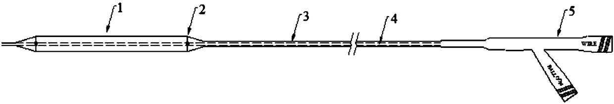 Balloon catheter