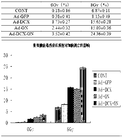 Application of DCX-SPRAC double-gene co-expression vector in preparation of radiotherapy sensitization agent