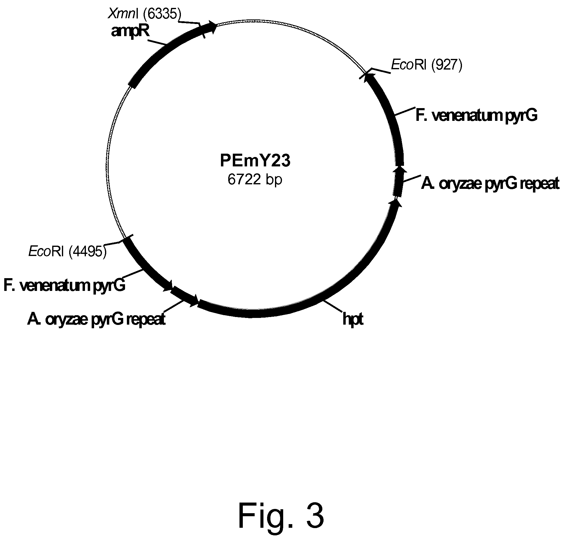 Methods for producing polypeptides in enzyme-deficient mutants of Fusarium venenatum