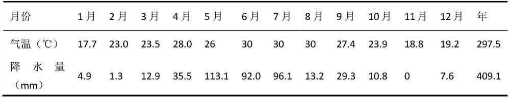 Preparation method of Yunnan green tea