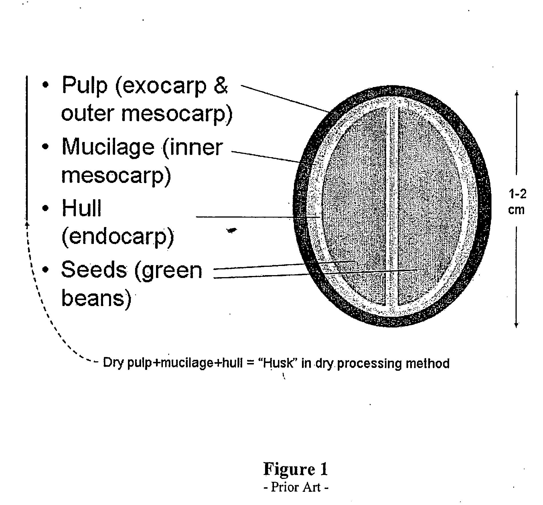 Methods for coffee cherry products