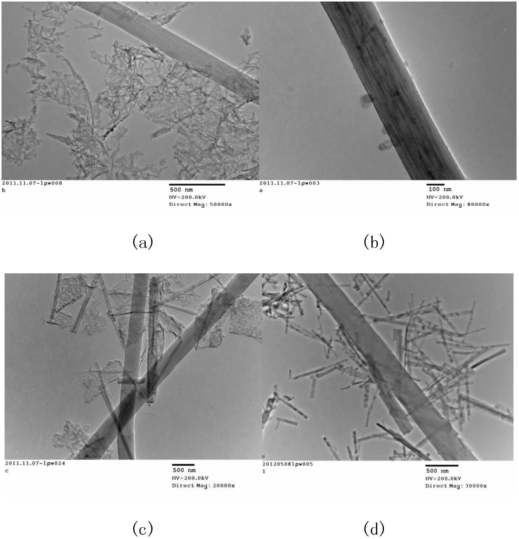 Carbon nanofiber load titanium dioxide thin film anode material and preparation method thereof