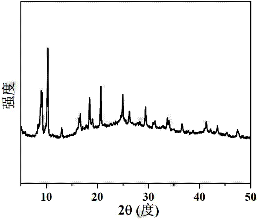 Iron-based complex and application thereof