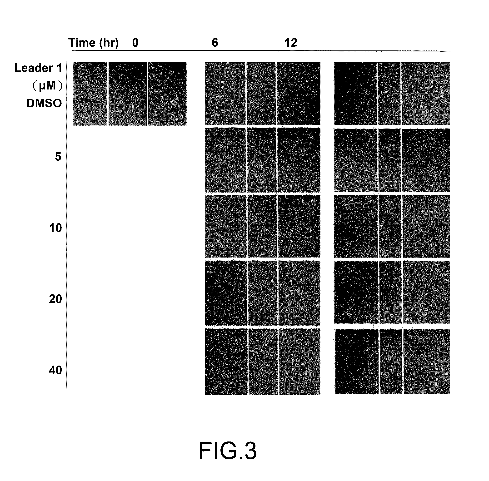 Method of preparing bioactive compound from solid-state cultivated <i>Antrodia cinnamomea </i>mycelium for anti-metastasis against lung cancer cells