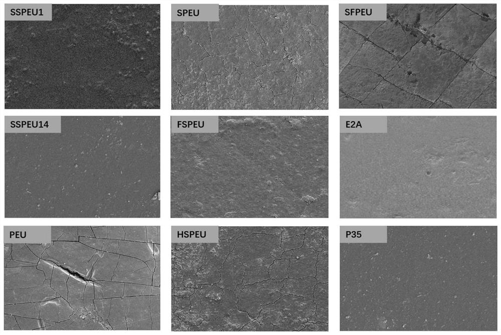 Polyurethane with biological stability and mechanical stability as well as preparation method and application thereof